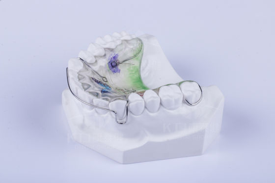 Custom Hawley Retainer zum Ausrichten von Zähnen Dental Hawley Retainer FDA-Zulassung