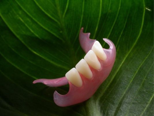 kaufen Duraflex Flexibler Teilabnehmbarer ästhetischer Teilapflegestand online manufacture