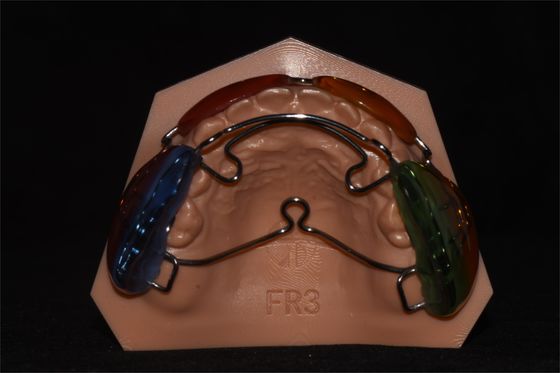 Frankel III. Fachmann für orthodontische Funktionsgeräte
